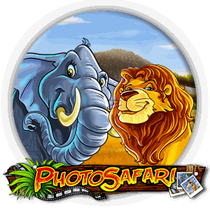 Photo Safari