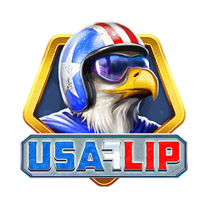 USA Flip